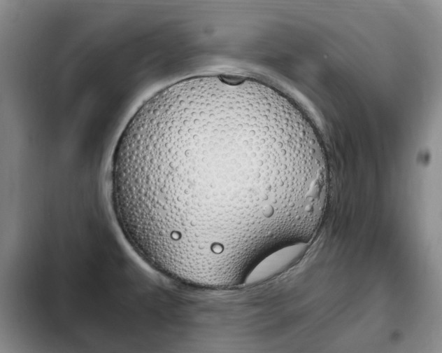 X0000102761479200808180919