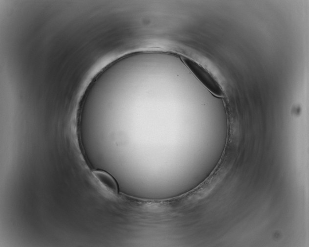 X0000102761480200808180919