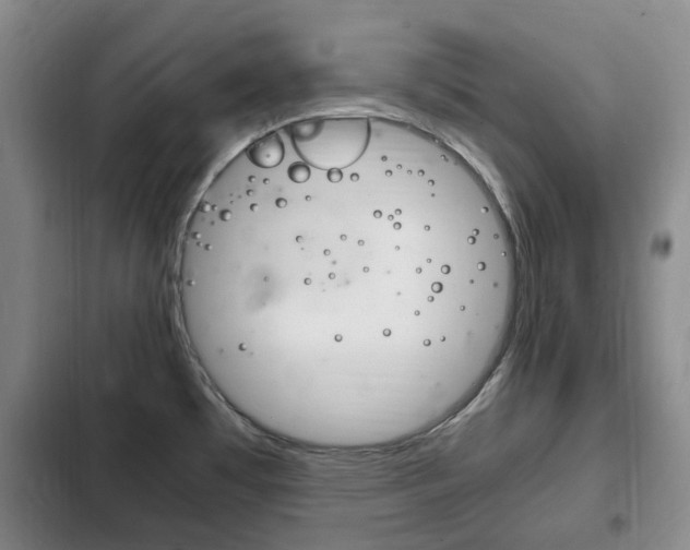 X0000102761481200808180919