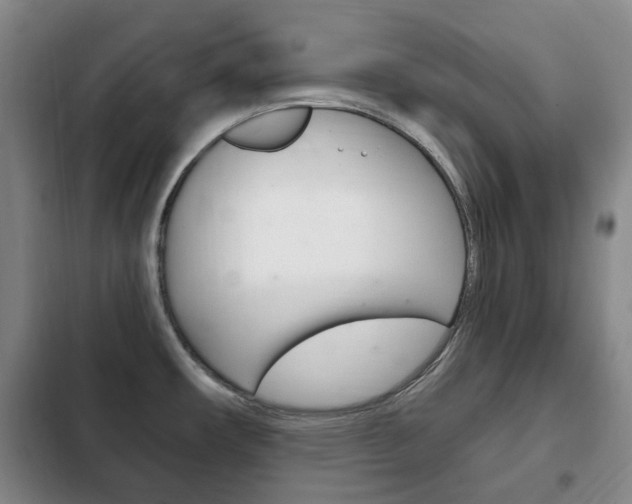 X0000102761482200808180919