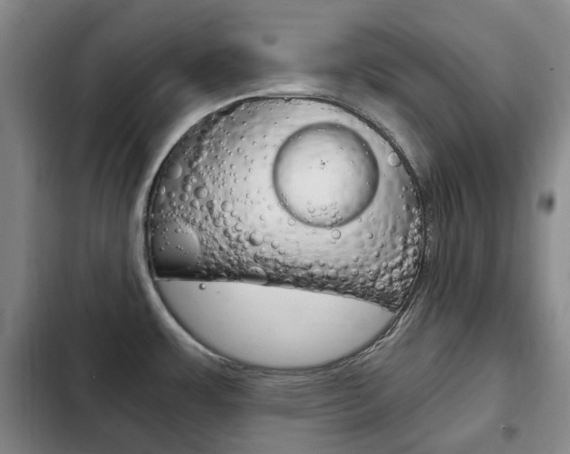 X0000102761483200808180919