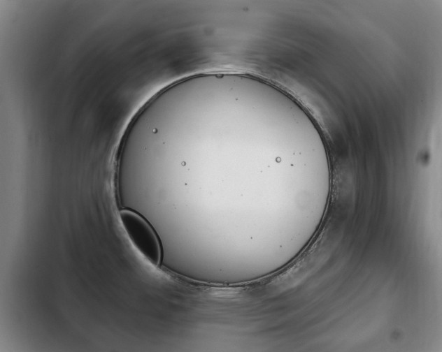 X0000102761484200808180919