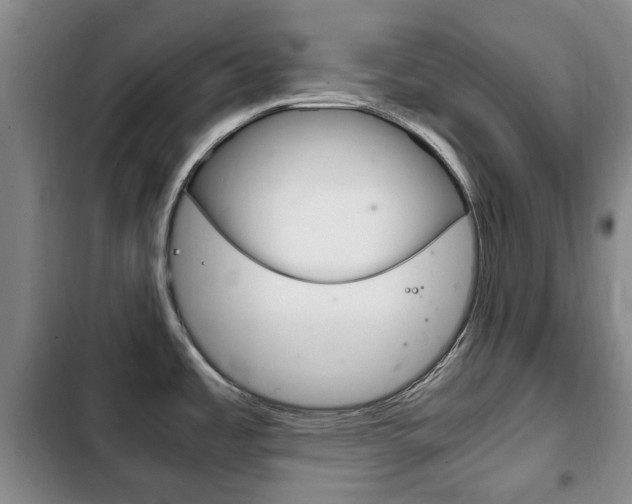 X0000102761485200808180919