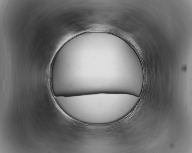 X0000102761487200808180919