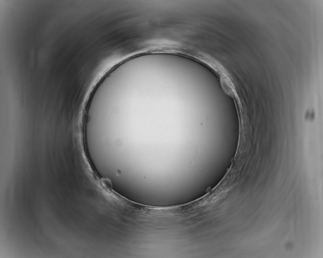 X0000102761488200808180919