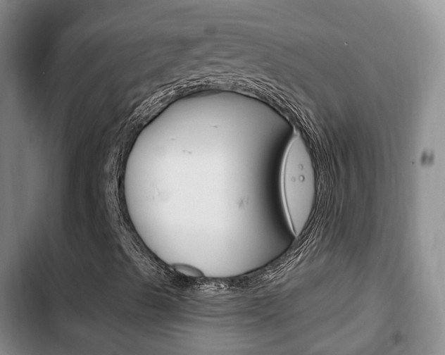 X0000102761489200808180918