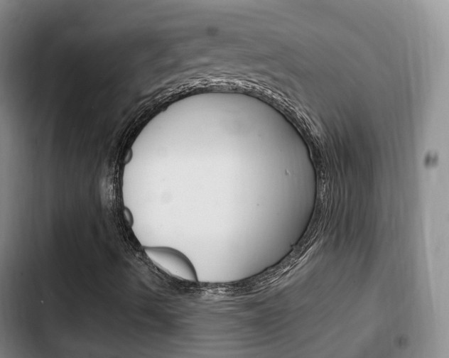 X0000102761490200808180918