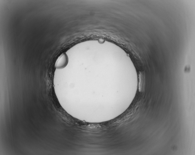 X0000102761491200808180918