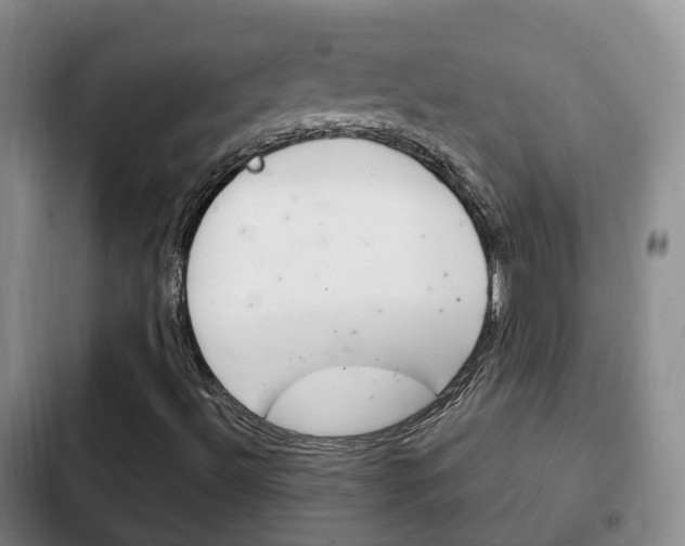 X0000102761492200808180918