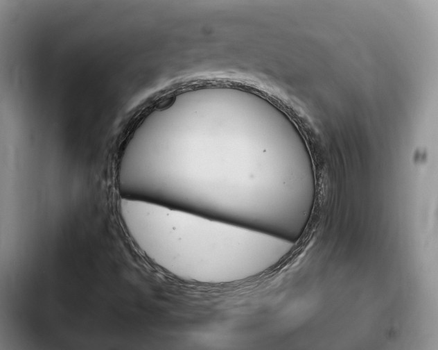 X0000102761494200808180918
