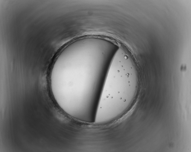 X0000102761497200808180918