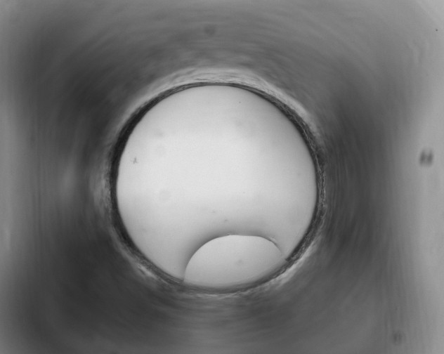 X0000102761498200808180918