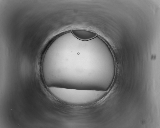 X0000102761499200808180918
