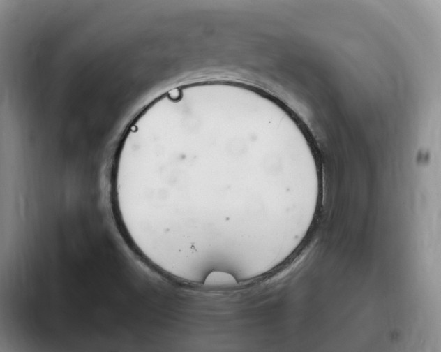 X0000102761500200808180918