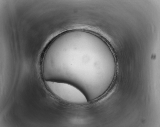 X0000102761501200808180918