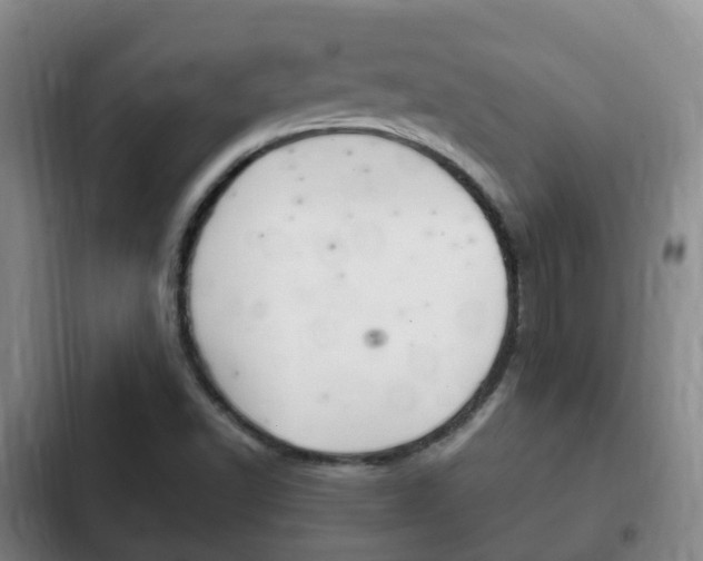 X0000102761502200808180918