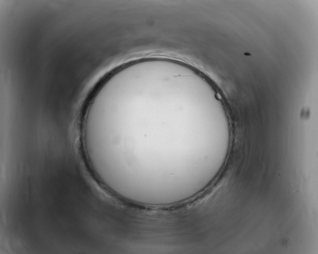 X0000102761503200808180918
