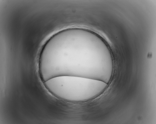 X0000102761504200808180918