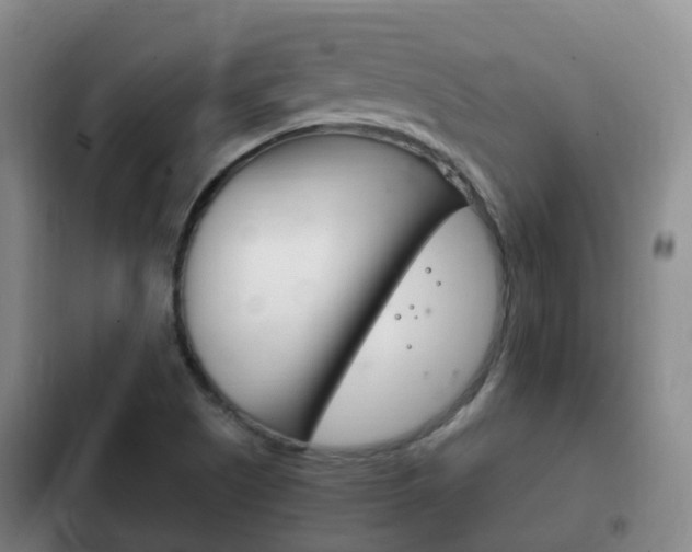 X0000102761505200808180918