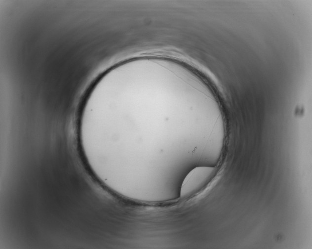X0000102761506200808180918