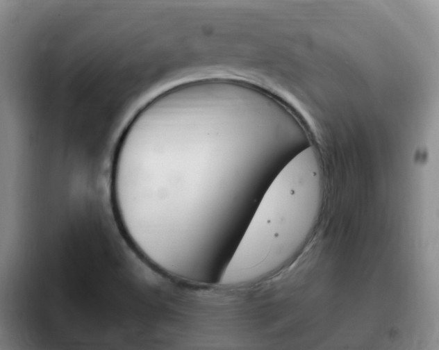 X0000102761508200808180919