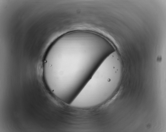 X0000102761509200808180919