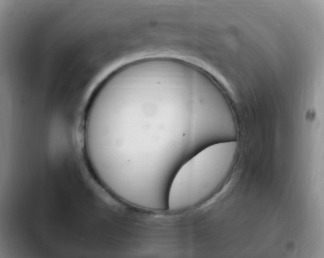 X0000102761510200808180919