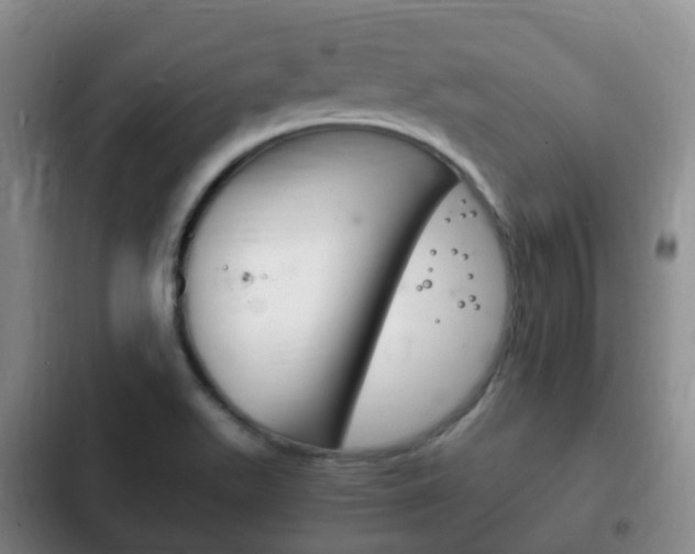 X0000102761511200808180919