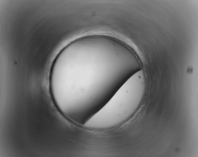 X0000102761512200808180919