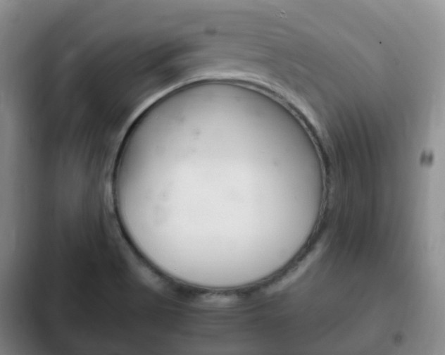 X0000102761513200808180919