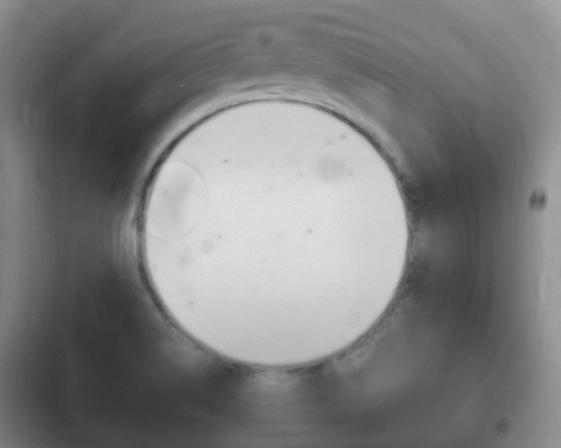 X0000102761514200808180919