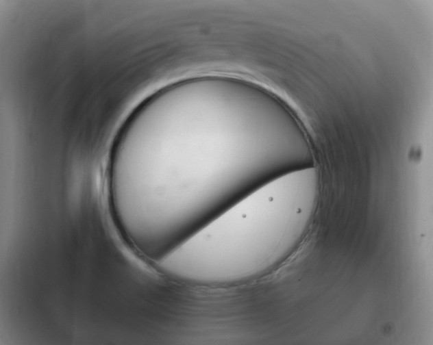 X0000102761515200808180919