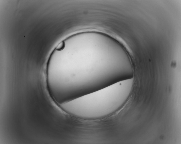 X0000102761516200808180919