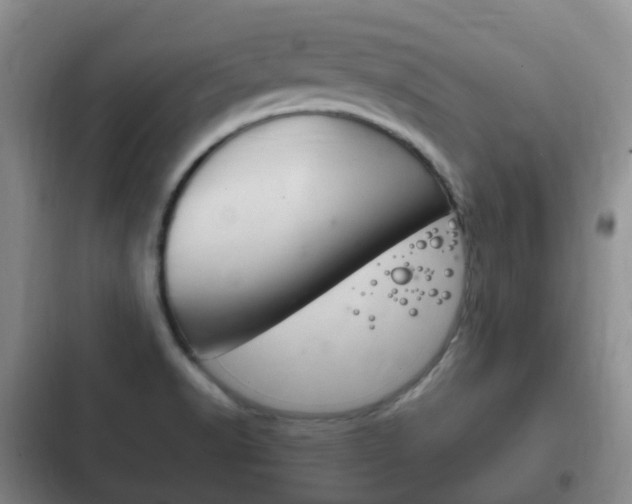 X0000102761518200808180919