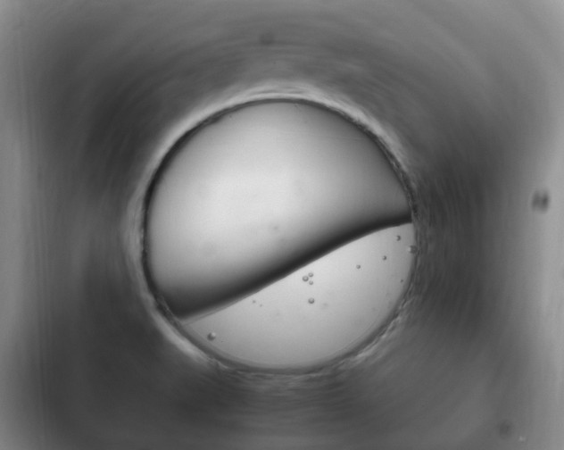 X0000102761519200808180919