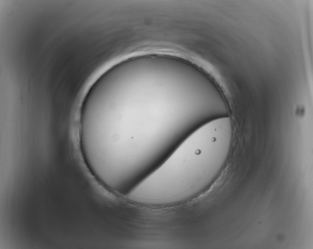 X0000102761520200808180919