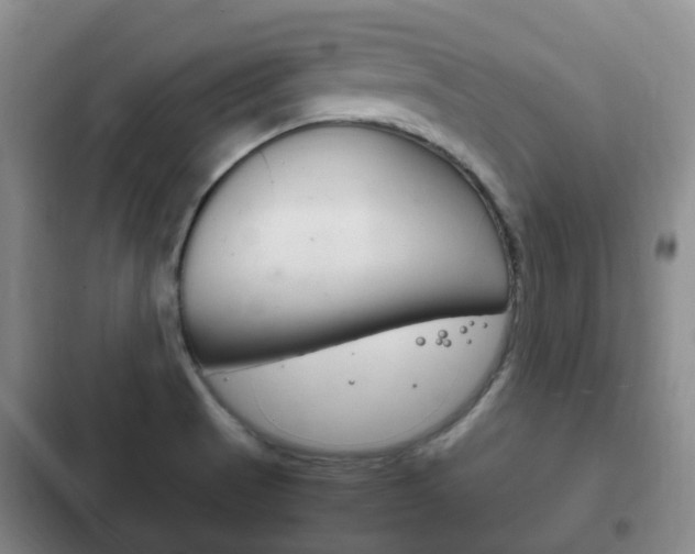 X0000102761521200808180919