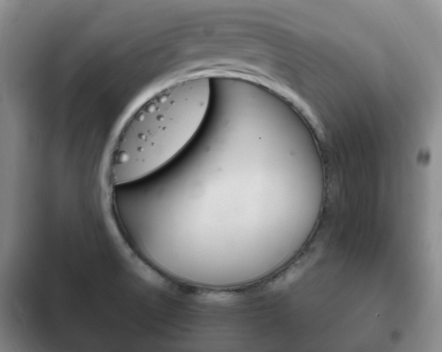 X0000102761522200808180919