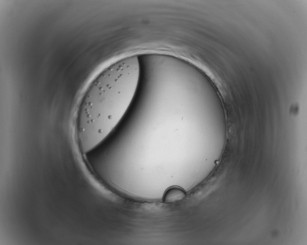 X0000102761523200808180919