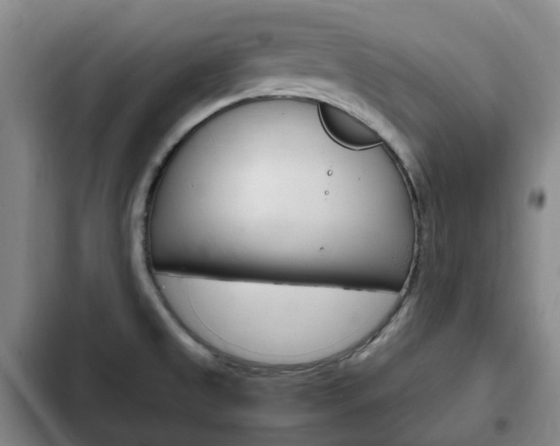 X0000102761525200808180919