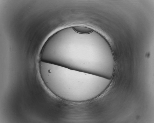 X0000102761526200808180919