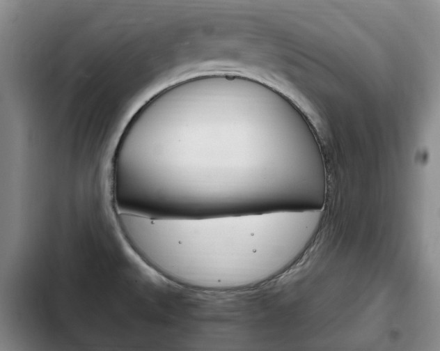 X0000102761527200808180919