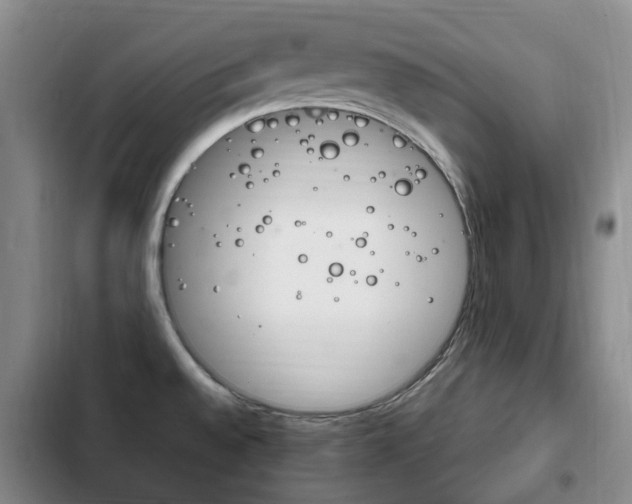 X0000102761528200808180919