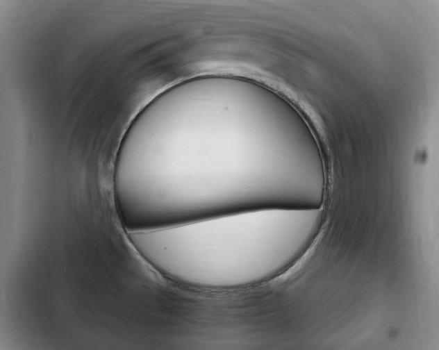 X0000102761529200808180919