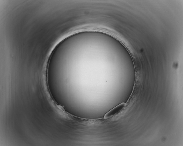 X0000102761530200808180919