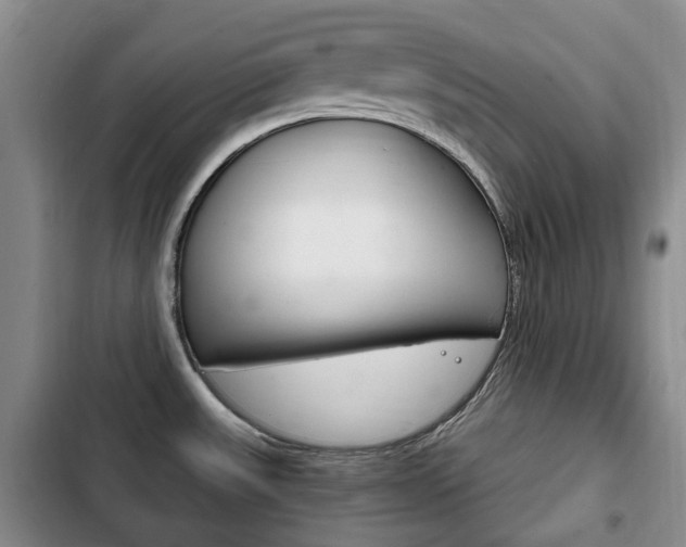 X0000102761531200808180919