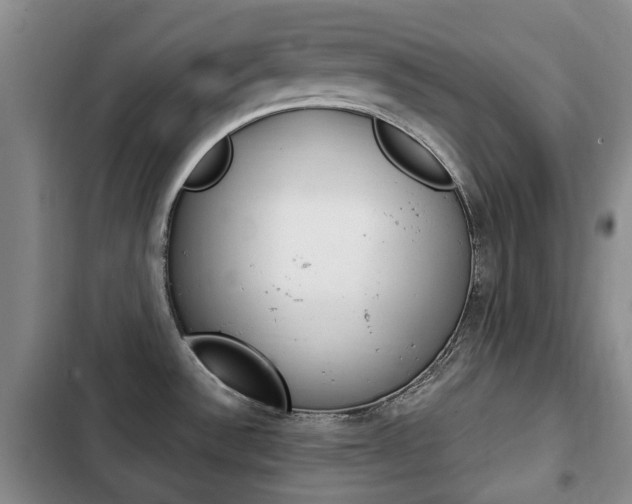 X0000102761532200808180919