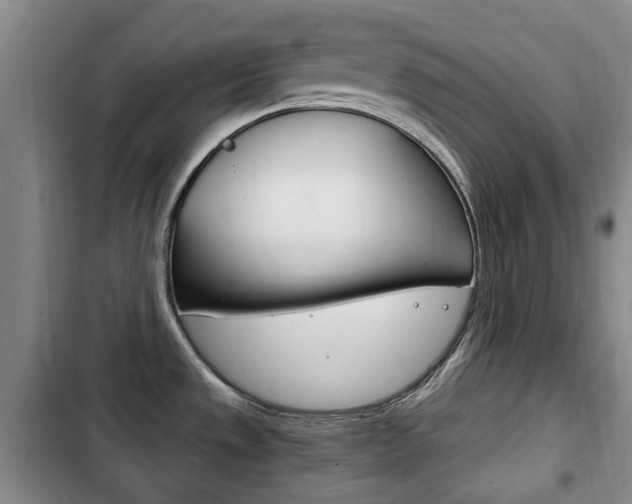 X0000102761533200808180919