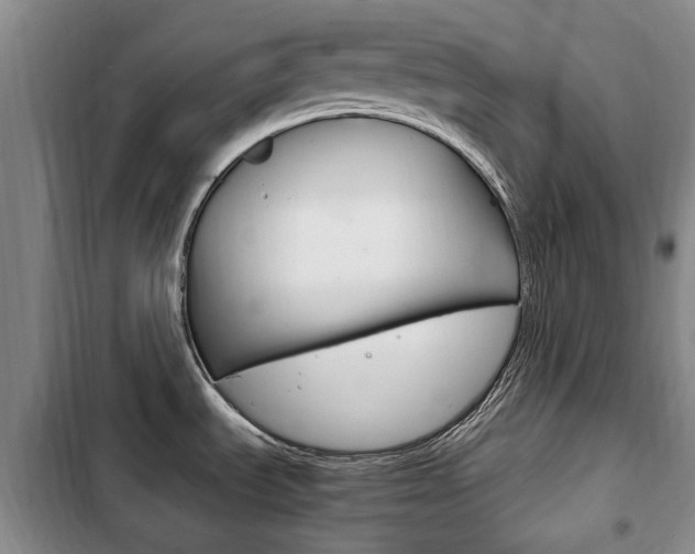 X0000102761535200808180919