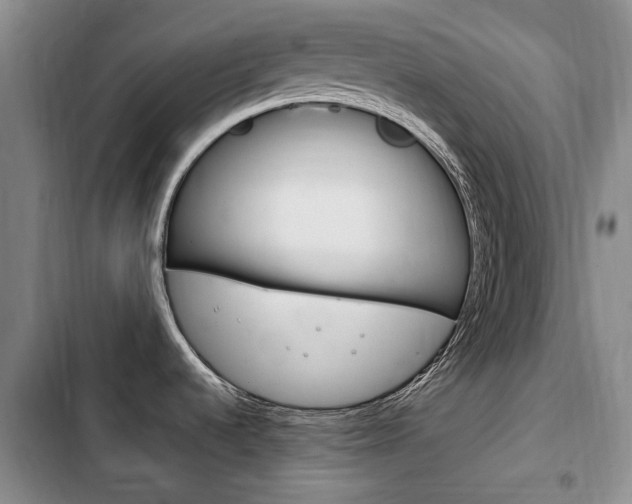 X0000102761536200808180919